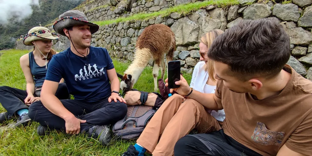 Machu Picchu with llamas