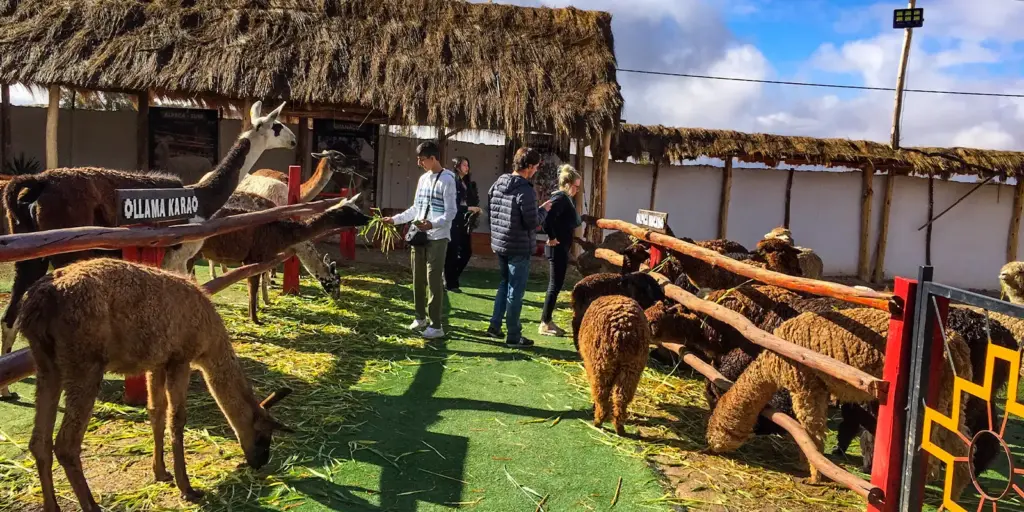 sacred valley Tour - sam travel peru