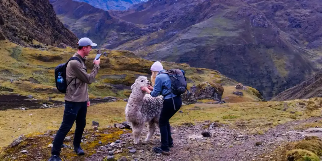 lares trek peru