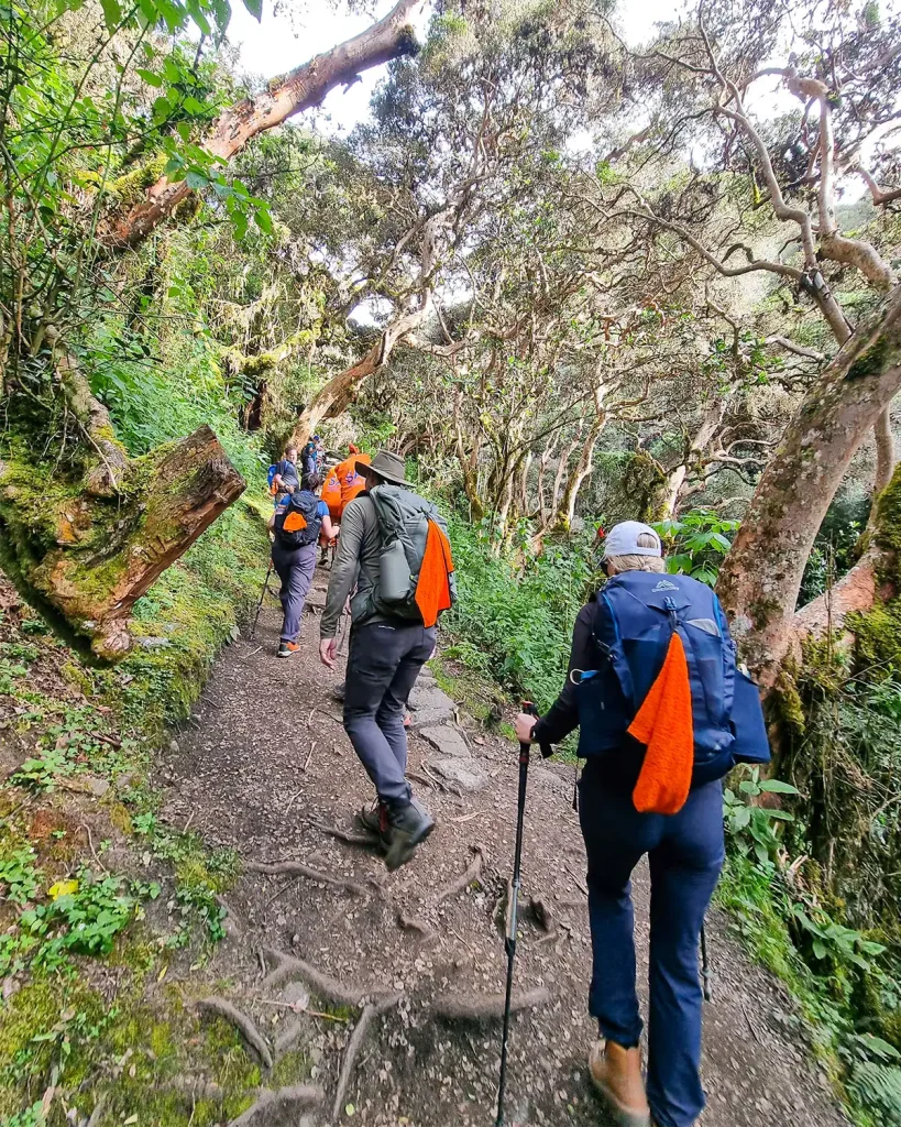 hike inca trail