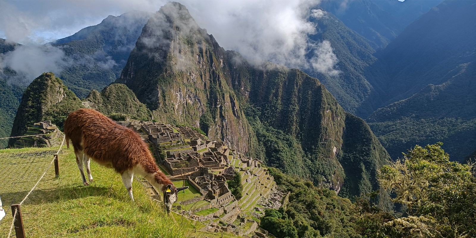 Machu Picchu