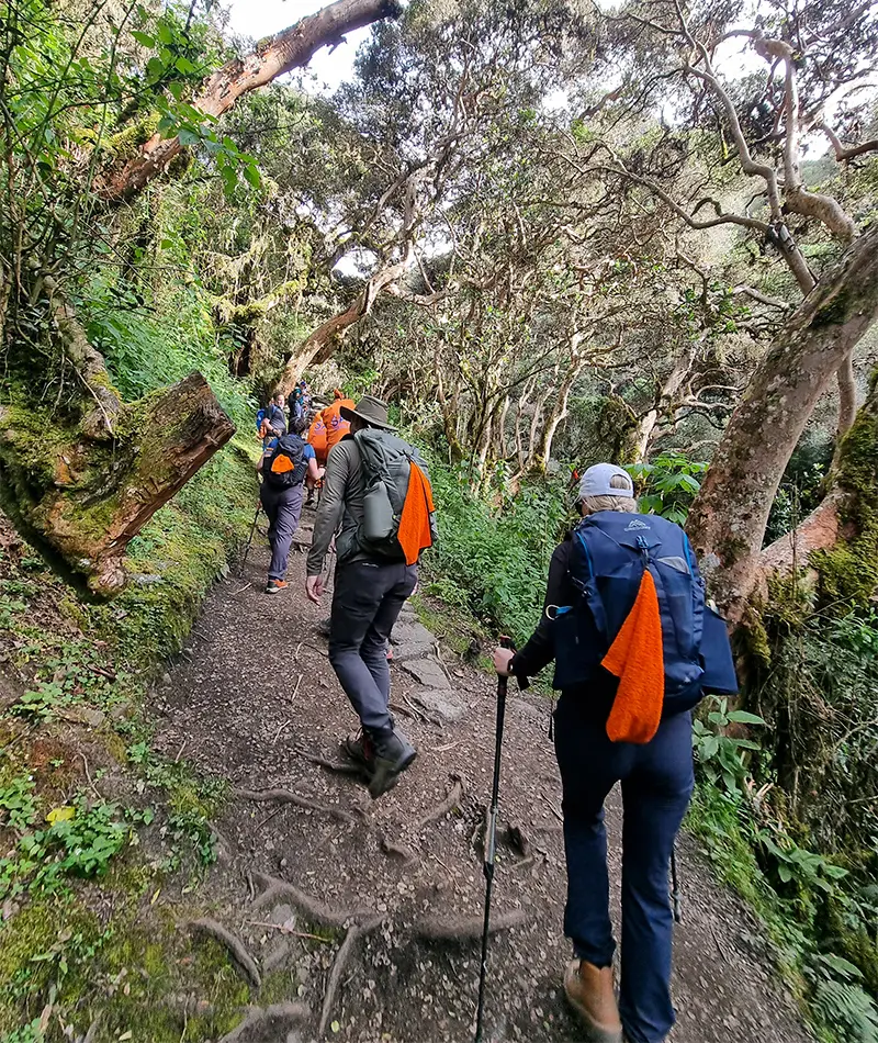 hiking inca trail